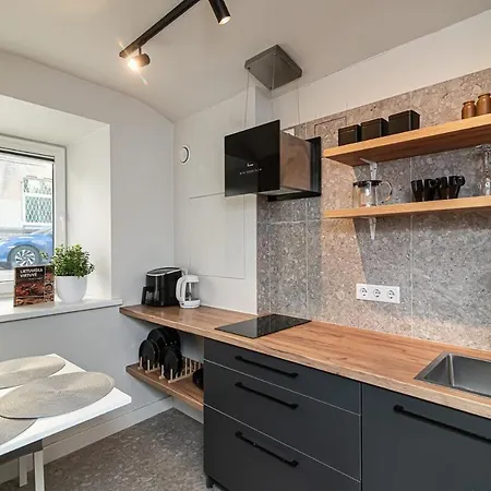 公寓 Cozy Flat In Old Town 维尔纽斯
