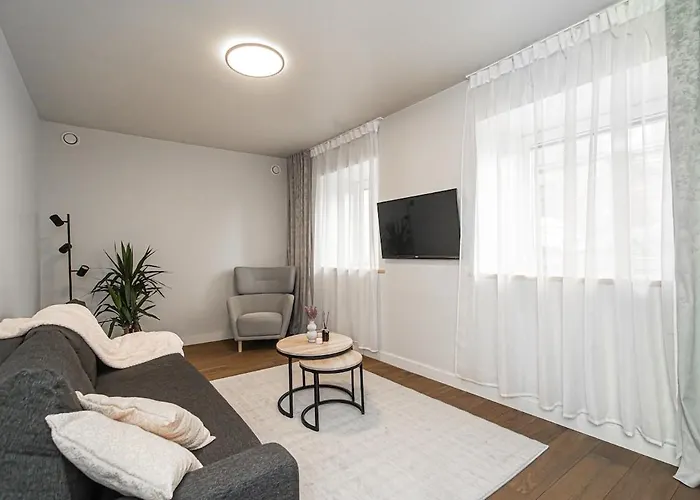 Cozy Flat In Old Town 公寓 维尔纽斯