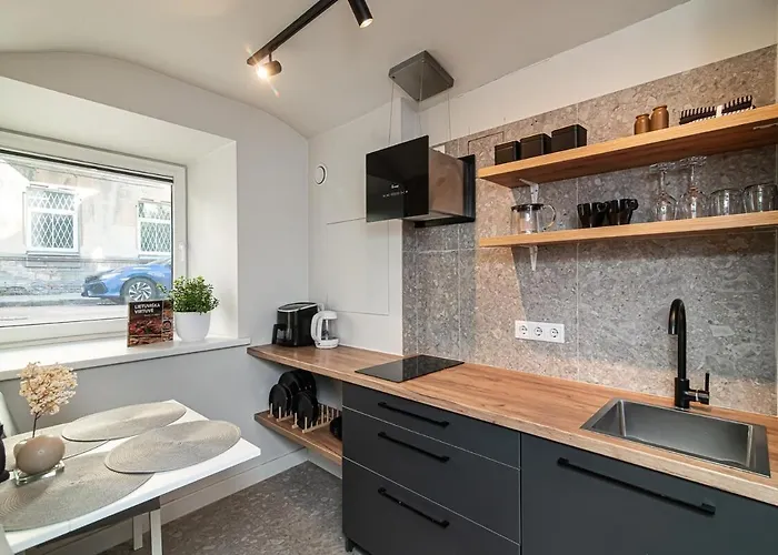 아파트 Cozy Flat In Old Town 빌뉴스