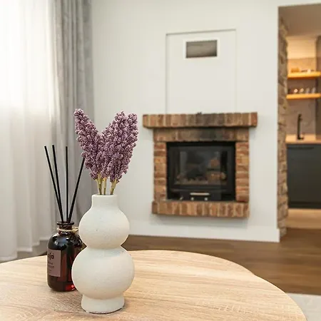 Cozy Flat In Old Town דירה וילנה